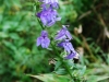 DSC_00010001